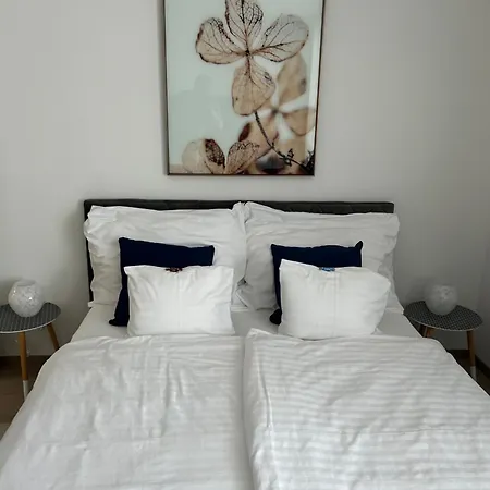 West Budapest-edge Of Downtown-free Parking Appartamento *